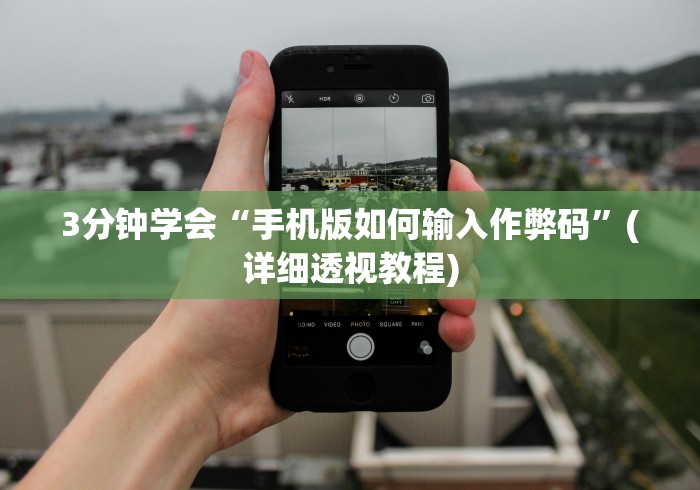 3分钟学会“手机版如何输入作弊码”(详细透视教程)