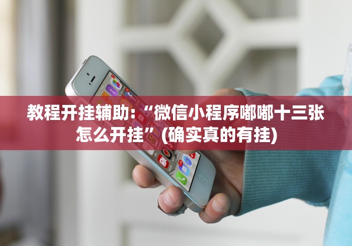 教程开挂辅助:“微信小程序嘟嘟十三张怎么开挂”(确实真的有挂)