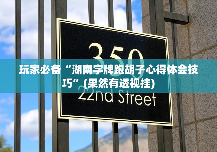 玩家必备“湖南字牌跑胡子心得体会技巧”(果然有透视挂)