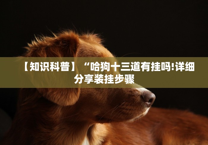 【知识科普】“哈狗十三道有挂吗!详细分享装挂步骤