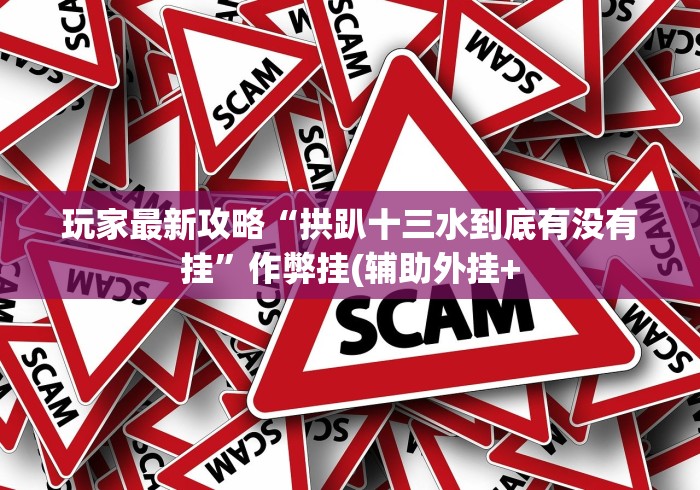 玩家最新攻略“拱趴十三水到底有没有挂”作弊挂(辅助外挂+