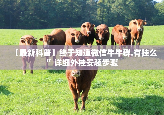 【最新科普】终于知道微信牛牛群.有挂么”详细外挂安装步骤