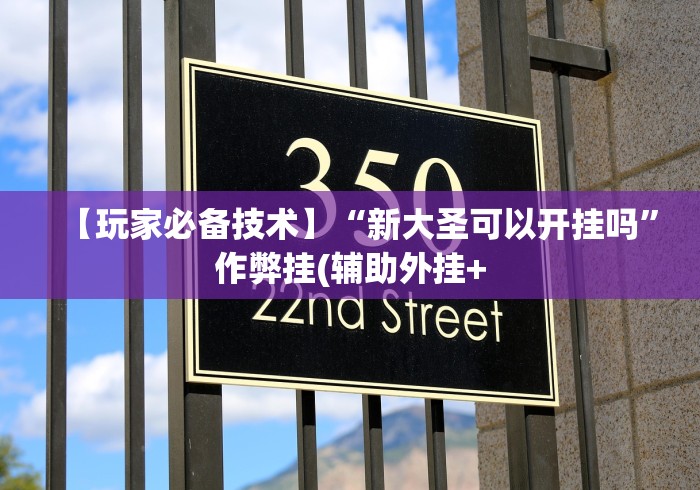 【玩家必备技术】“新大圣可以开挂吗”作弊挂(辅助外挂+