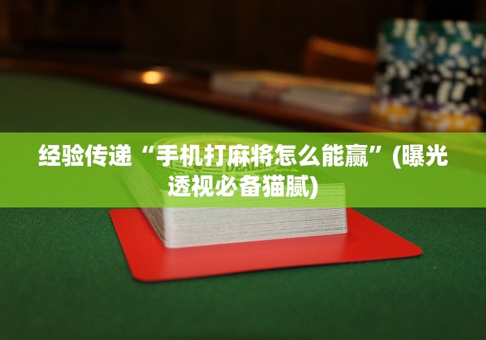 经验传递“手机打麻将怎么能赢”(曝光透视必备猫腻)