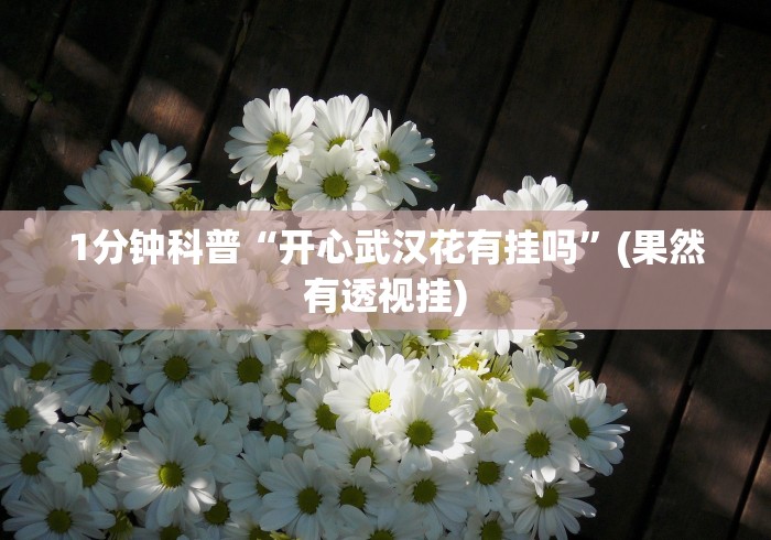 1分钟科普“开心武汉花有挂吗”(果然有透视挂)