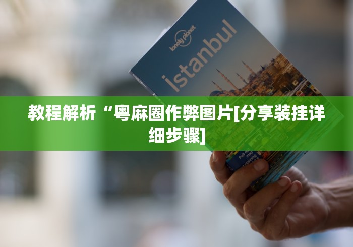 教程解析“粤麻圈作弊图片[分享装挂详细步骤]