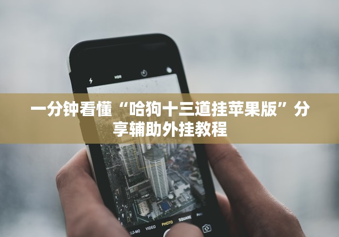 一分钟看懂“哈狗十三道挂苹果版”分享辅助外挂教程