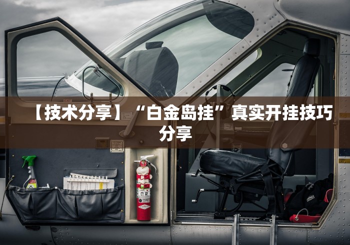 【技术分享】“白金岛挂”真实开挂技巧分享