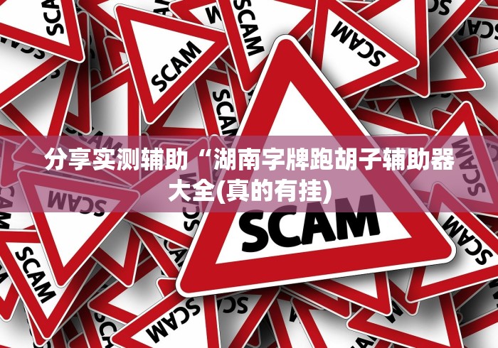 分享实测辅助“湖南字牌跑胡子辅助器大全(真的有挂) 分享实测辅助“湖南字牌跑胡子辅助器大全(真的有挂)