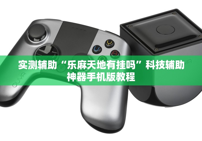 实测辅助“乐麻天地有挂吗”科技辅助神器手机版教程