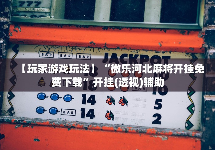 【玩家游戏玩法】“微乐河北麻将开挂免费下载”开挂(透视)辅助