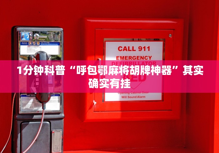 1分钟科普“呼包鄂麻将胡牌神器”其实确实有挂