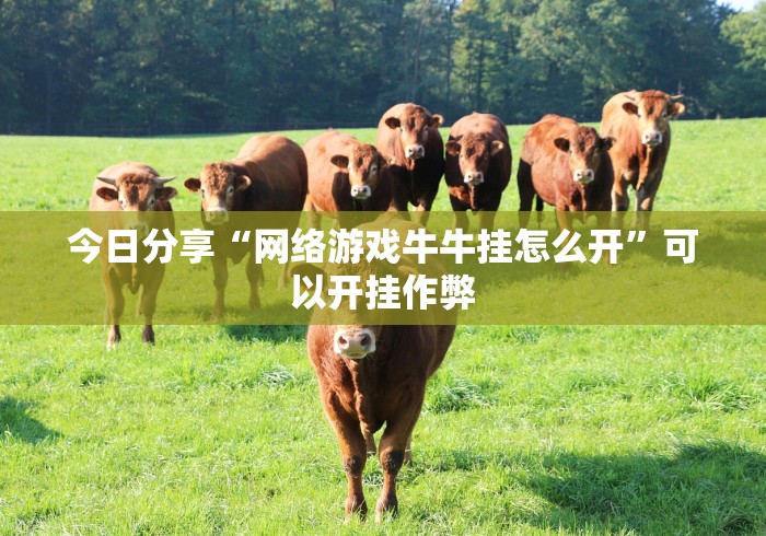 今日分享“网络游戏牛牛挂怎么开”可以开挂作弊