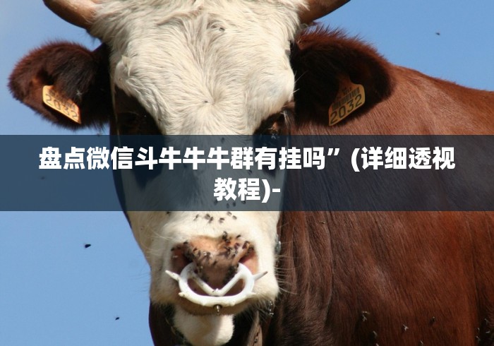 盘点微信斗牛牛牛群有挂吗”(详细透视教程)-