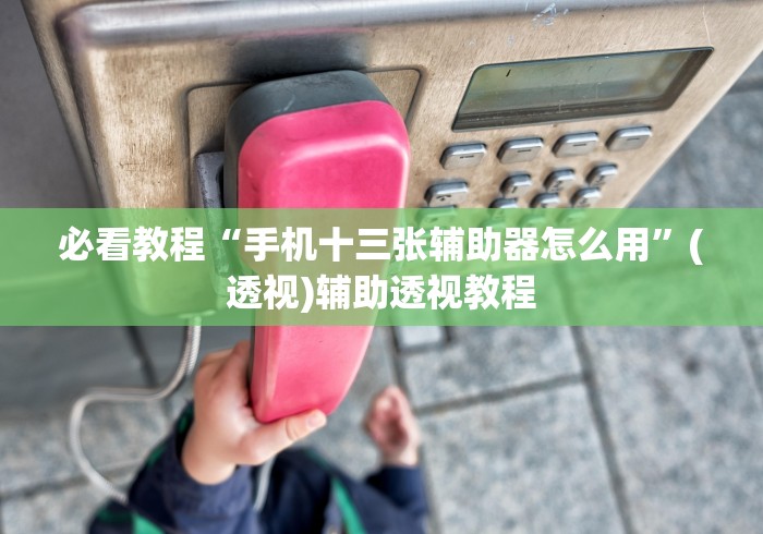 必看教程“手机十三张辅助器怎么用”(透视)辅助透视教程
