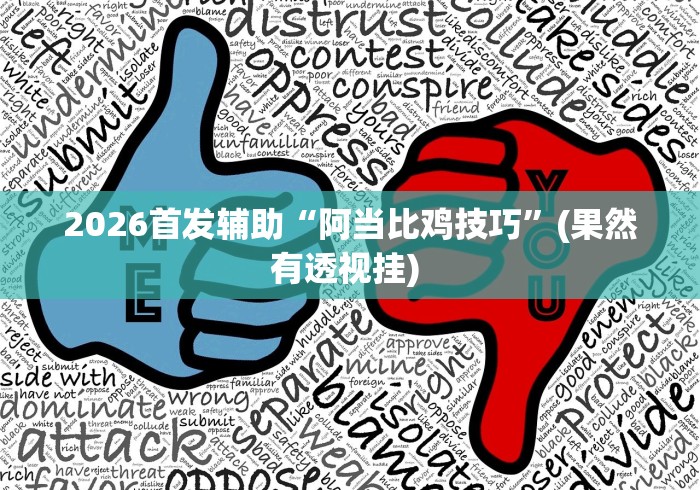 2026首发辅助“阿当比鸡技巧”(果然有透视挂) 