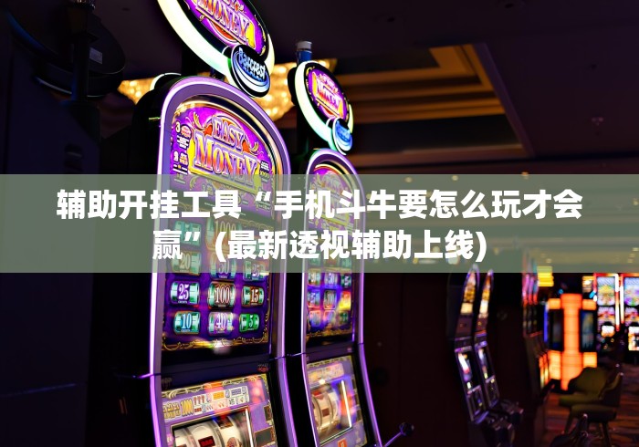 辅助开挂工具“手机斗牛要怎么玩才会赢”(最新透视辅助上线)