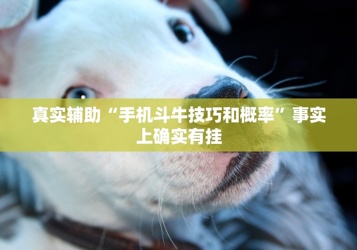 真实辅助“手机斗牛技巧和概率”事实上确实有挂 真实辅助“手机斗牛技巧和概率”事实上确实有挂