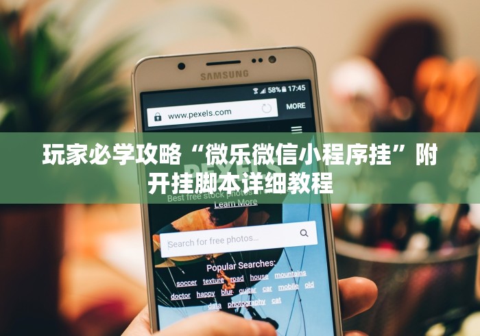 玩家必学攻略“微乐微信小程序挂”附开挂脚本详细教程