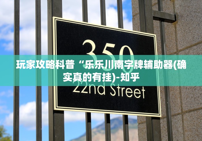 玩家攻略科普“乐乐川南字牌辅助器(确实真的有挂)-知乎