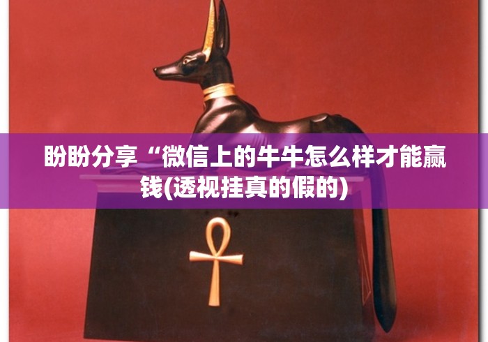 推荐辅助使用‘手游斗地主透视”(透视)开挂详细教程