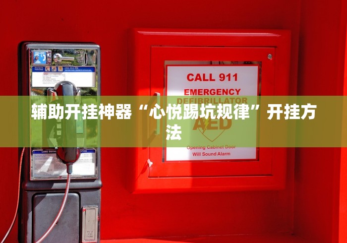 教程辅助“直隶麻将曲阳硬九张开挂”(确实有挂)