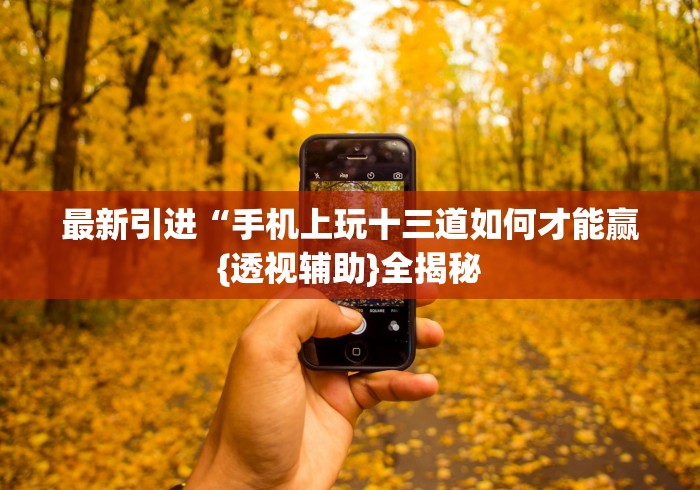 最新引进“手机上玩十三道如何才能赢{透视辅助}全揭秘