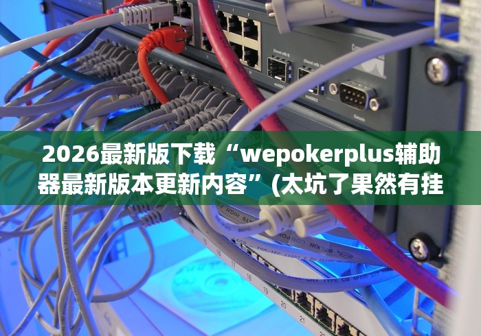 2026最新版下载“wepokerplus辅助器最新版本更新内容”(太坑了果然有挂)