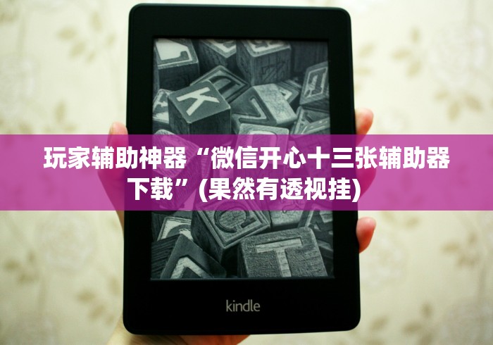 玩家辅助神器“微信开心十三张辅助器下载”(果然有透视挂) 