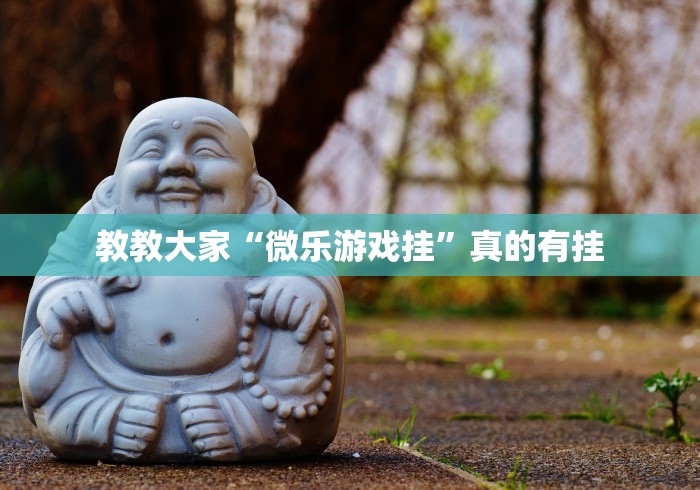 教教大家“微乐游戏挂”真的有挂