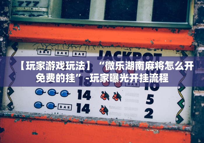 【玩家游戏玩法】“微乐湖南麻将怎么开免费的挂”-玩家曝光开挂流程