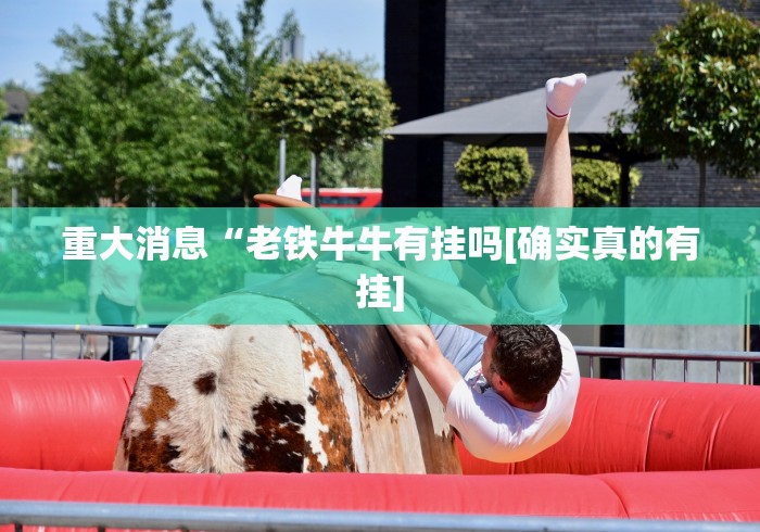 重大消息“老铁牛牛有挂吗[确实真的有挂]