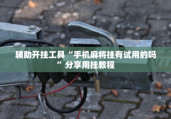 辅助开挂工具“手机麻将挂有试用的吗”分享用挂教程