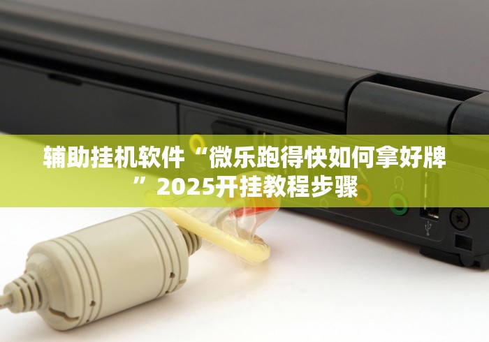 辅助挂机软件“微乐跑得快如何拿好牌”2025开挂教程步骤
