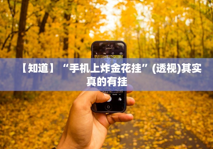 【知道】“手机上炸金花挂”(透视)其实真的有挂