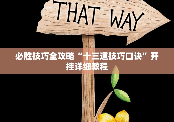 必胜技巧全攻略“十三道技巧口诀”开挂详细教程