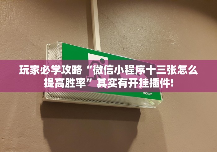 玩家必学攻略“微信小程序十三张怎么提高胜率”其实有开挂插件!
