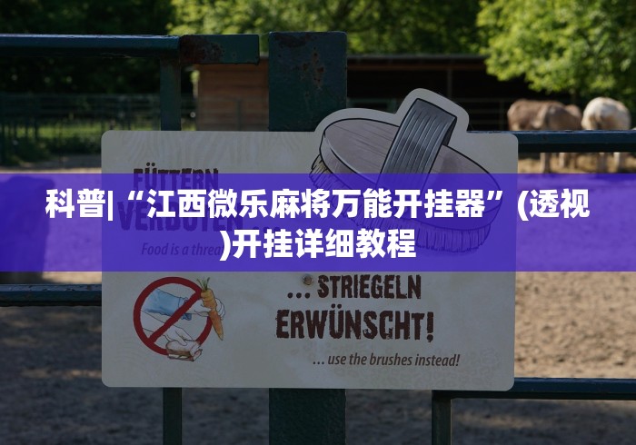 科普|“江西微乐麻将万能开挂器”(透视)开挂详细教程