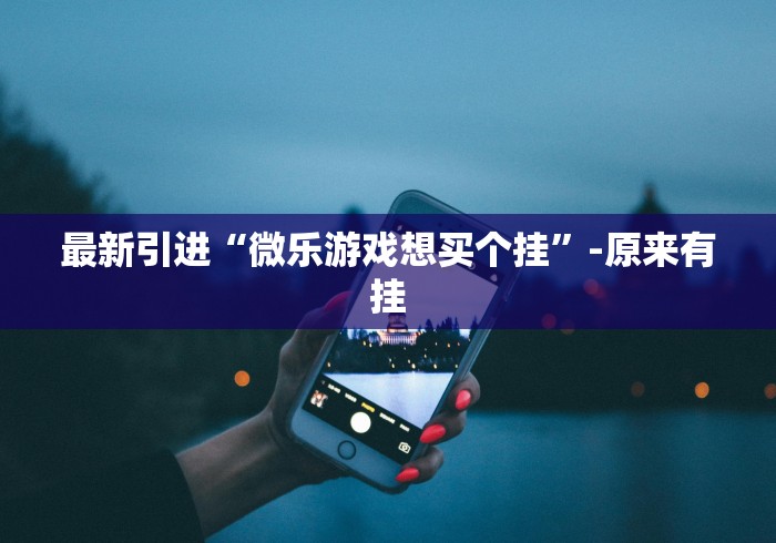 最新引进“微乐游戏想买个挂”-原来有挂