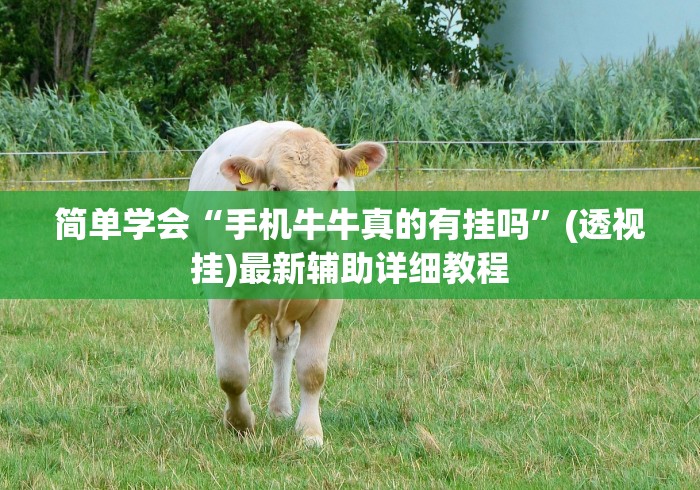 简单学会“手机牛牛真的有挂吗”(透视挂)最新辅助详细教程