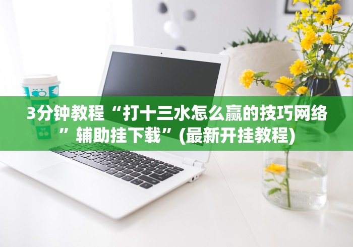 3分钟教程“打十三水怎么赢的技巧网络”辅助挂下载”(最新开挂教程)