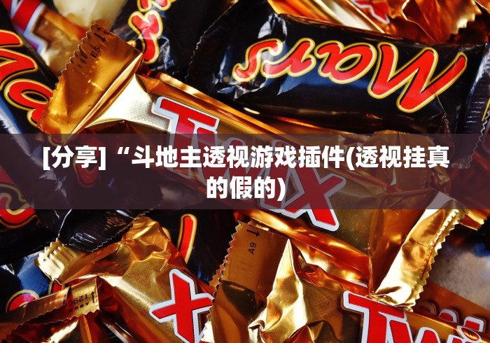 [分享]“斗地主透视游戏插件(透视挂真的假的)