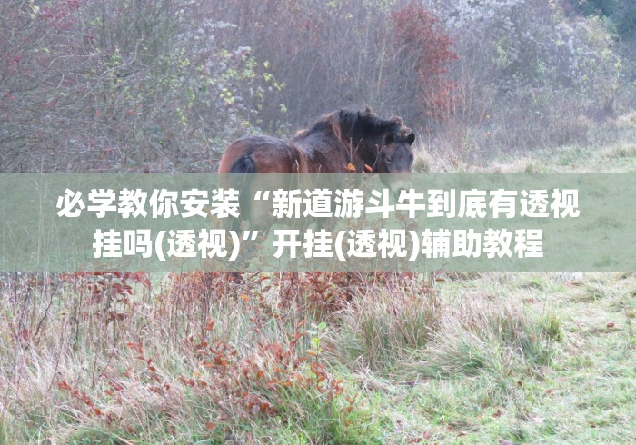 必学教你安装“新道游斗牛到底有透视挂吗(透视)”开挂(透视)辅助教程