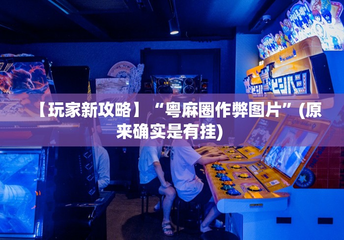 【玩家新攻略】“粤麻圈作弊图片”(原来确实是有挂) 