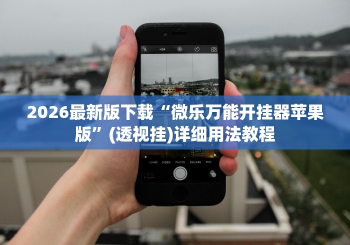 2026最新版下载“微乐万能开挂器苹果版”(透视挂)详细用法教程