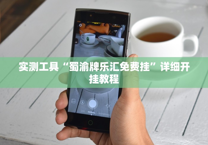 实测工具“蜀渝牌乐汇免费挂”详细开挂教程