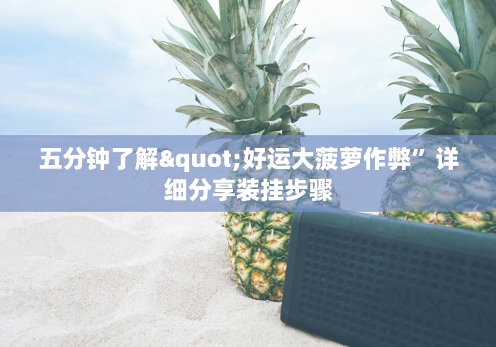 五分钟了解"好运大菠萝作弊”详细分享装挂步骤