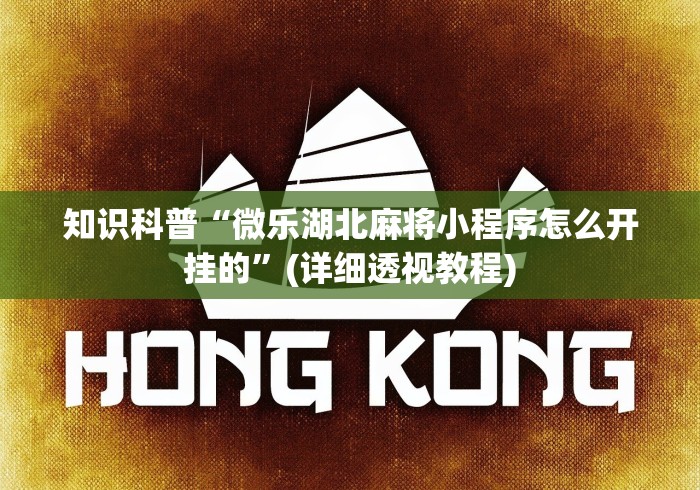 知识科普“微乐湖北麻将小程序怎么开挂的”(详细透视教程)