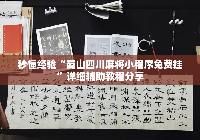 秒懂经验“蜀山四川麻将小程序免费挂”详细辅助教程分享