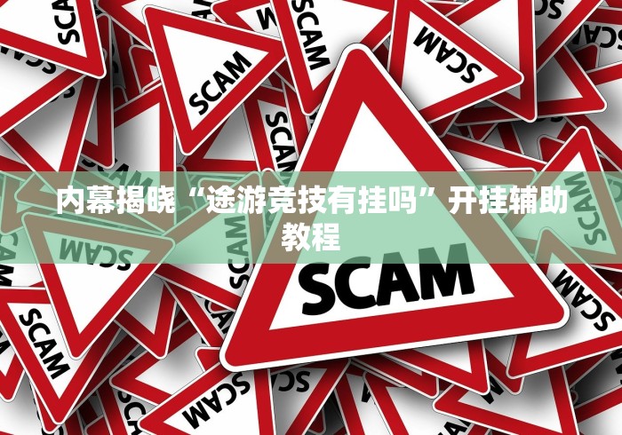 内幕揭晓“途游竞技有挂吗”开挂辅助教程